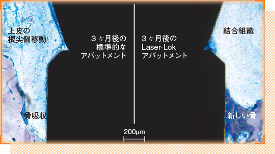論文や臨床報告を公開
